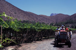 Chile-jacques caillaut-36