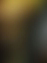 Green Fairy (Dangerous Spirits #1) by Kyell Gold