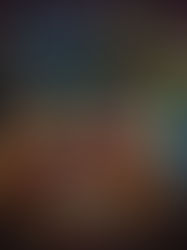 Lost Inside the Blue Line by Harry A Wozzeck