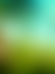 The Waystone's Call: A Short Story