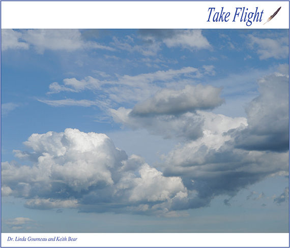 Take Flight CD