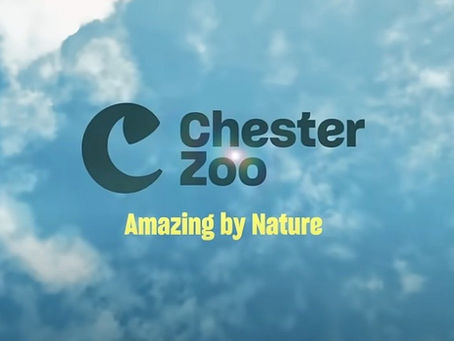 CHESTER ZOO