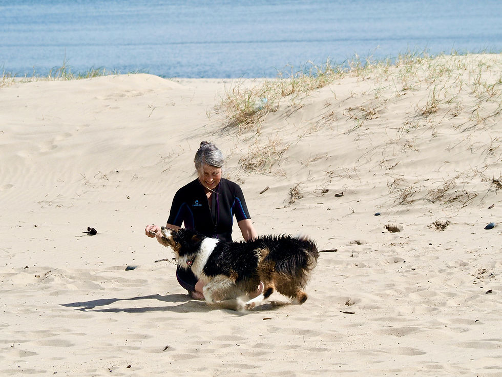 Thumbnail: ALISON & SCOUT