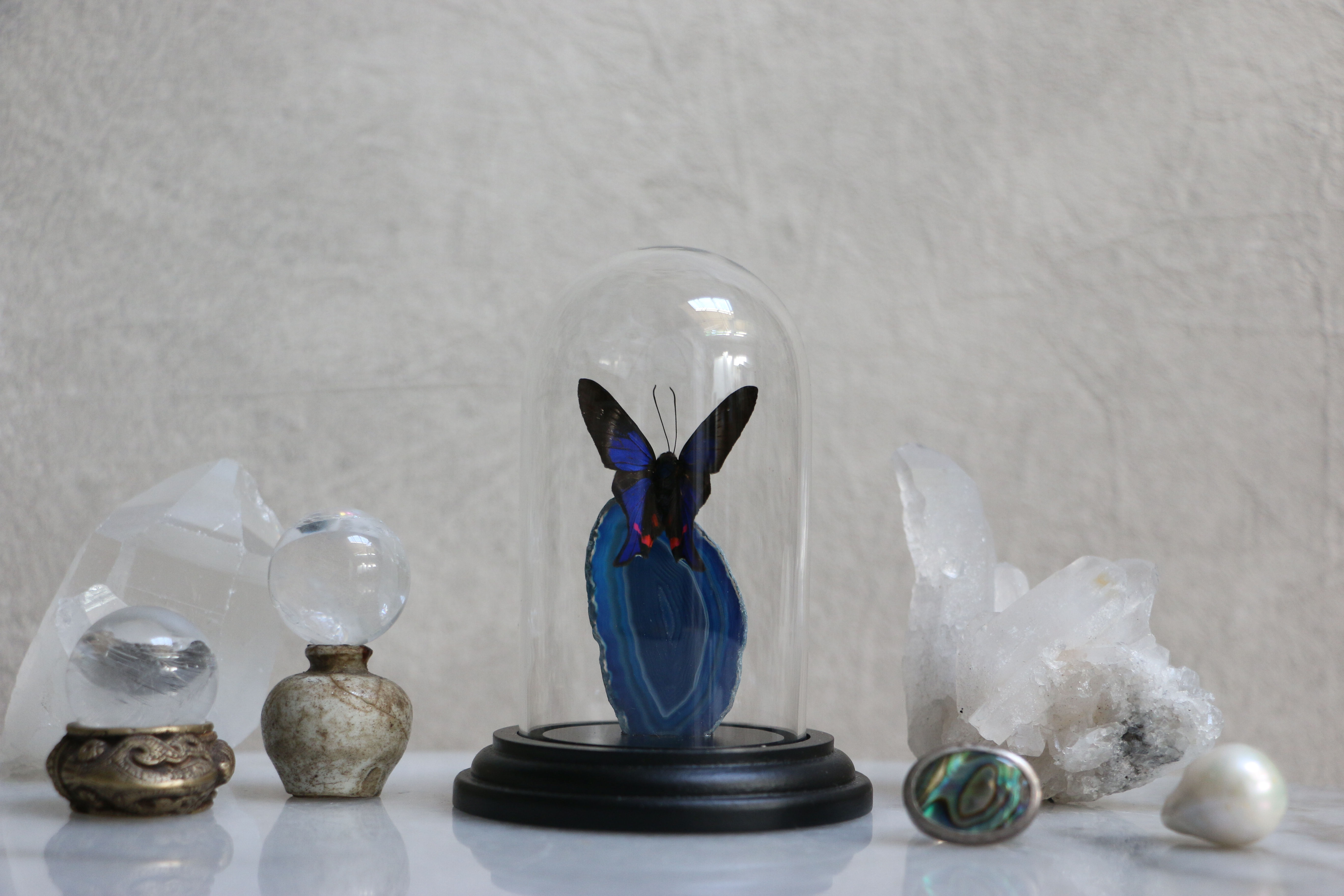 Small Butterfly and Agate Dome