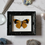 Thumbnail: Tiny Framed Perisama Xanthica