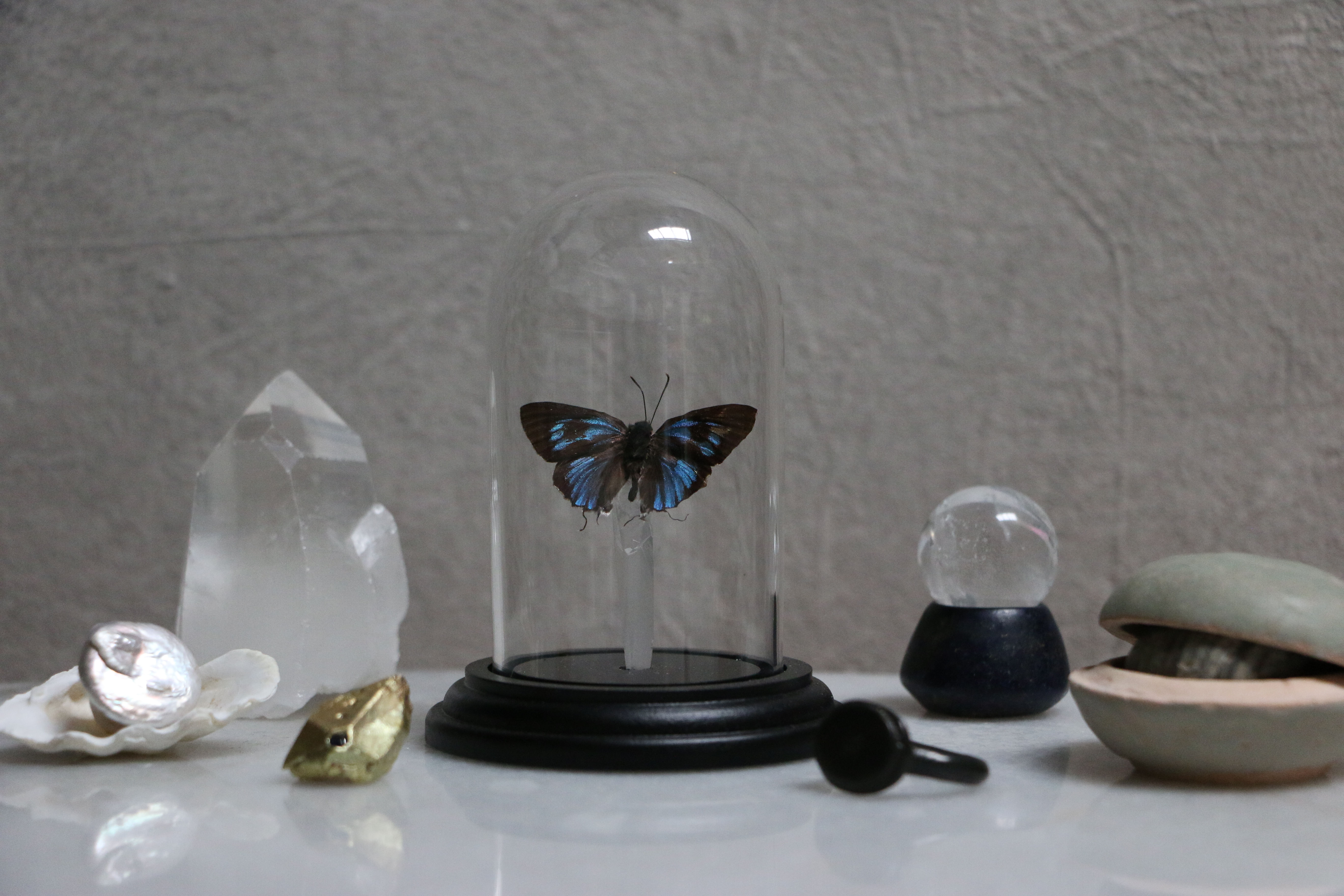Small Butterfly and Quartz Dome