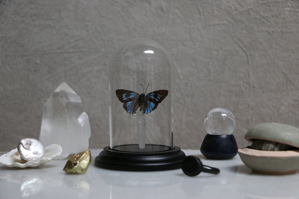 Thumbnail: Small Butterfly and Quartz Dome