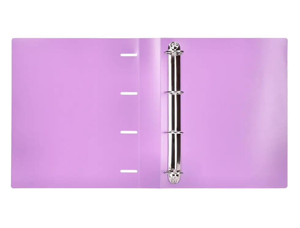 Miniatura: Carpeta Liderpapel 4 Anillas Mixtas 40mm Pp Din A4 Lavanda Opaco