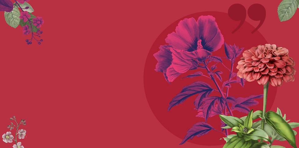 The Hazelnut Factory (4).jpg