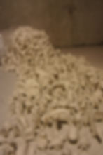 Micro Clay