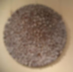Microorganism