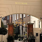 montrose2.jpg