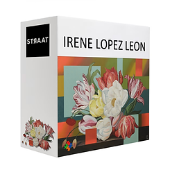STRAAT IRENE LOPEZ EXEMPLE BOITE.tif