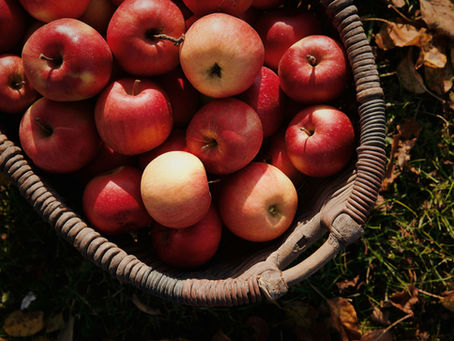 The Fruits of the Spirit