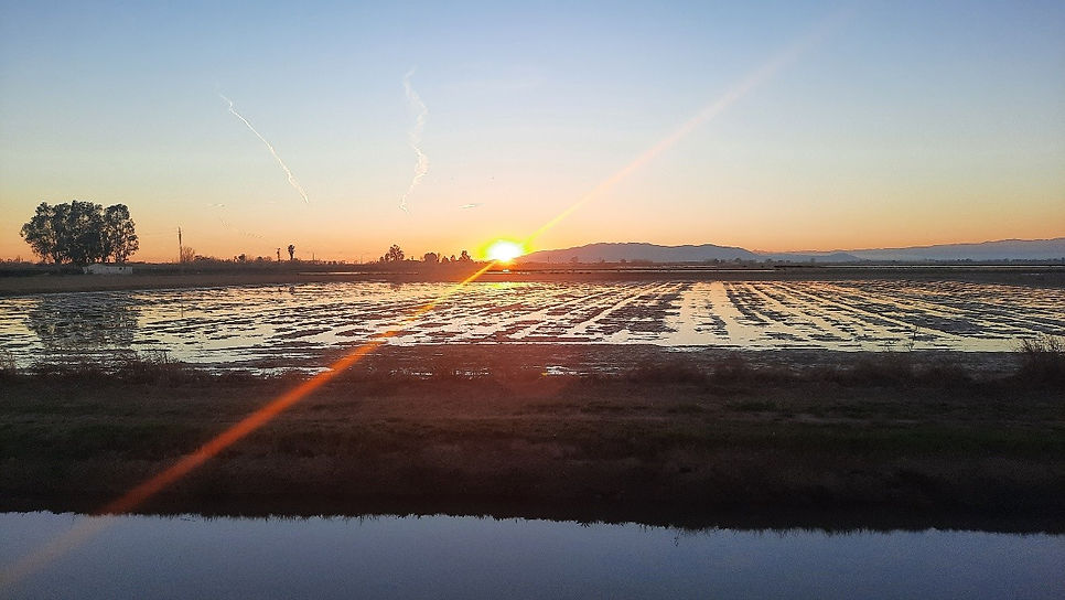 foto 18 posta de sol.jpg