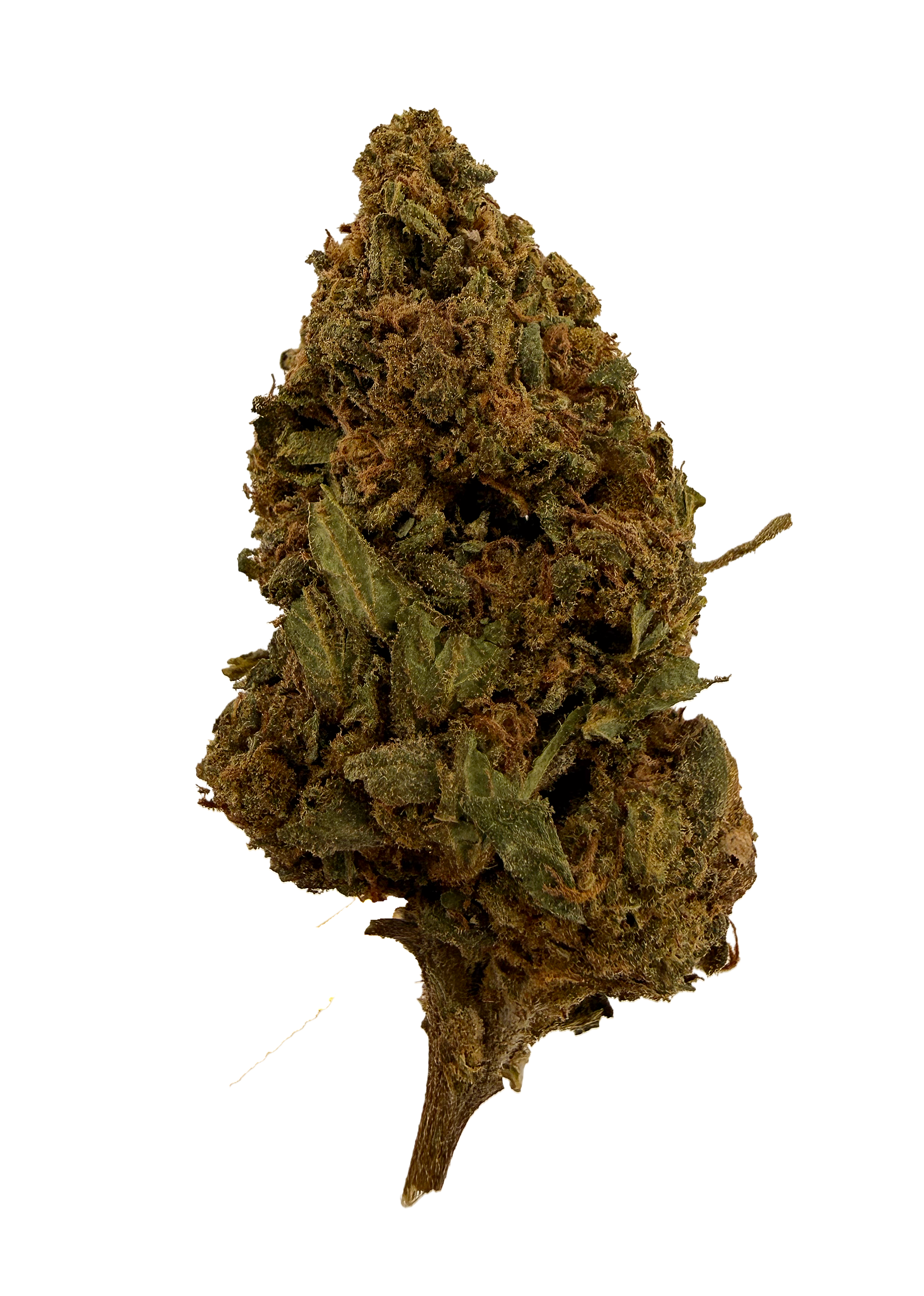 SUPER SOUR | 30.81% | SATIVA