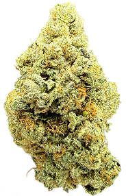 Remove background project-7_edited.png