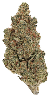 Screenshot 2025-11-08 at 1.15.45 PM.png