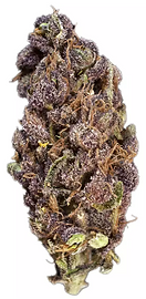 Screenshot 2026-01-23 at 6.53.48 PM.png