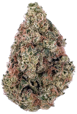 Screenshot 2025-12-28 at 6.31.19 PM.png