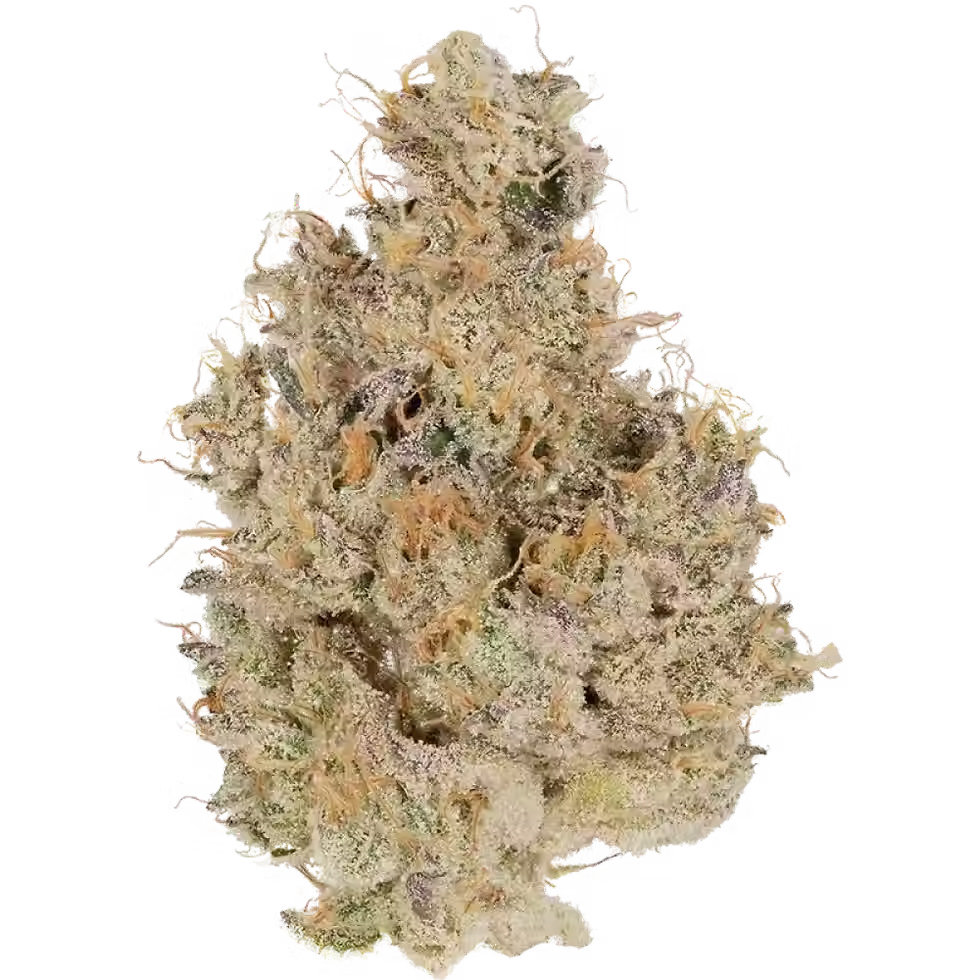 Thumbnail: CBX - GM-UHOH - 4PK - HYBRID -