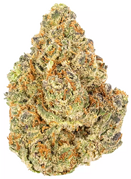 Screenshot 2026-01-30 at 9.09.17 PM.png