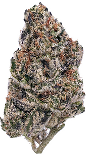 Screenshot 2025-11-02 at 9.00.21 PM.png