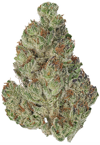 Screenshot 2025-11-15 at 3.35.57 PM.png