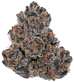 Screenshot 2024-11-13 at 12.32.05 PM.png