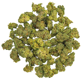 Screenshot 2025-11-15 at 3.21.07 PM.png