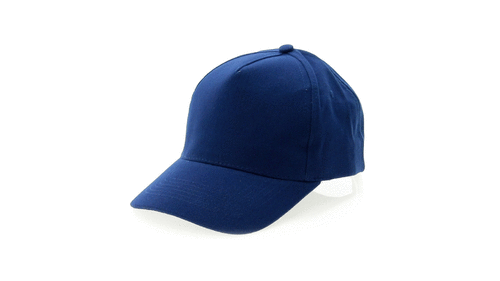 4901_500.gif