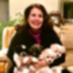 Coton de Tulear Puppies 2017