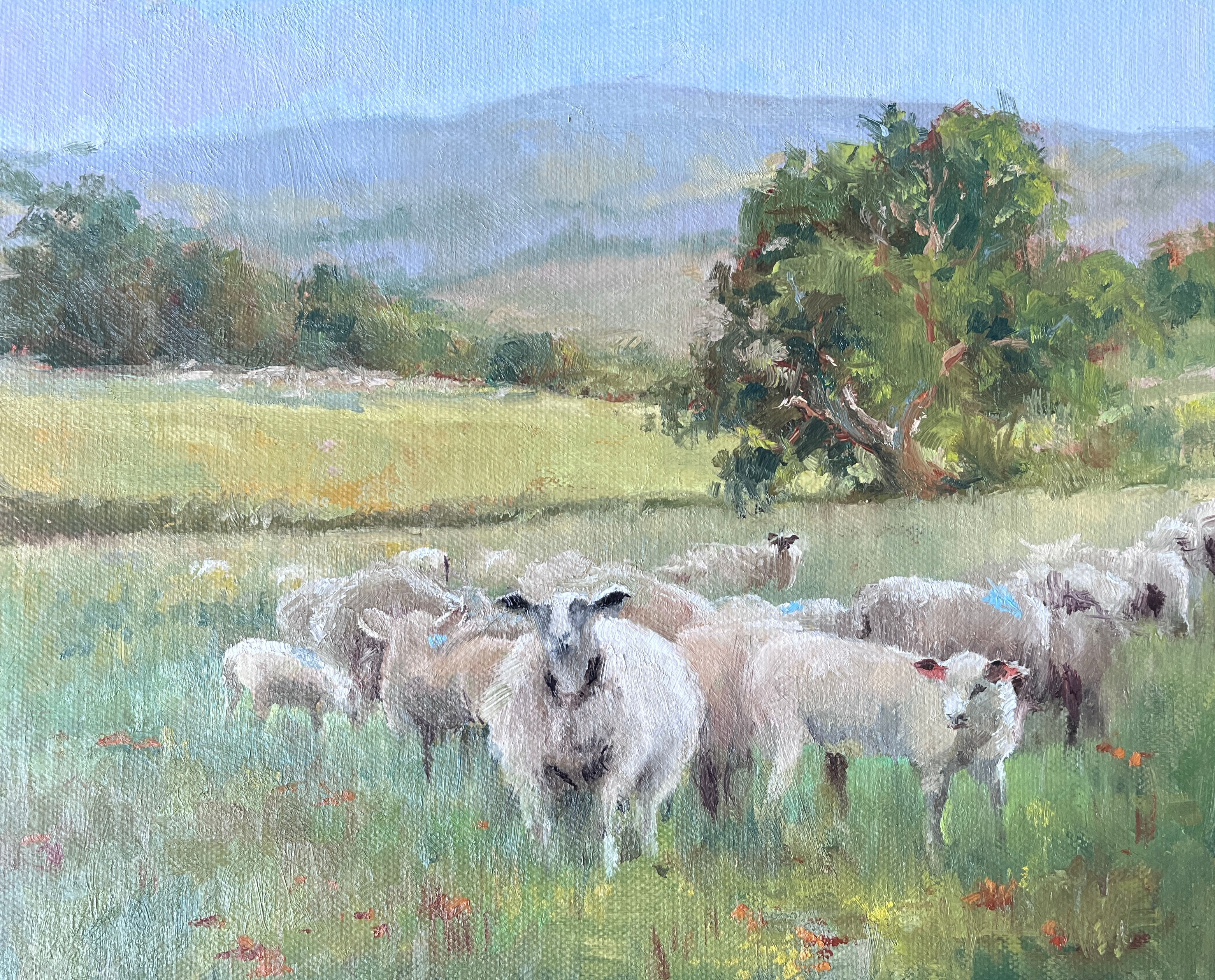 Flock of Sheep in Devon - Original Oil Painting