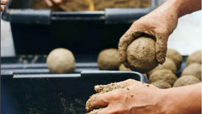 3 reasons to go zero waste at home + 3 things you can do (that have more to do with food than plasti