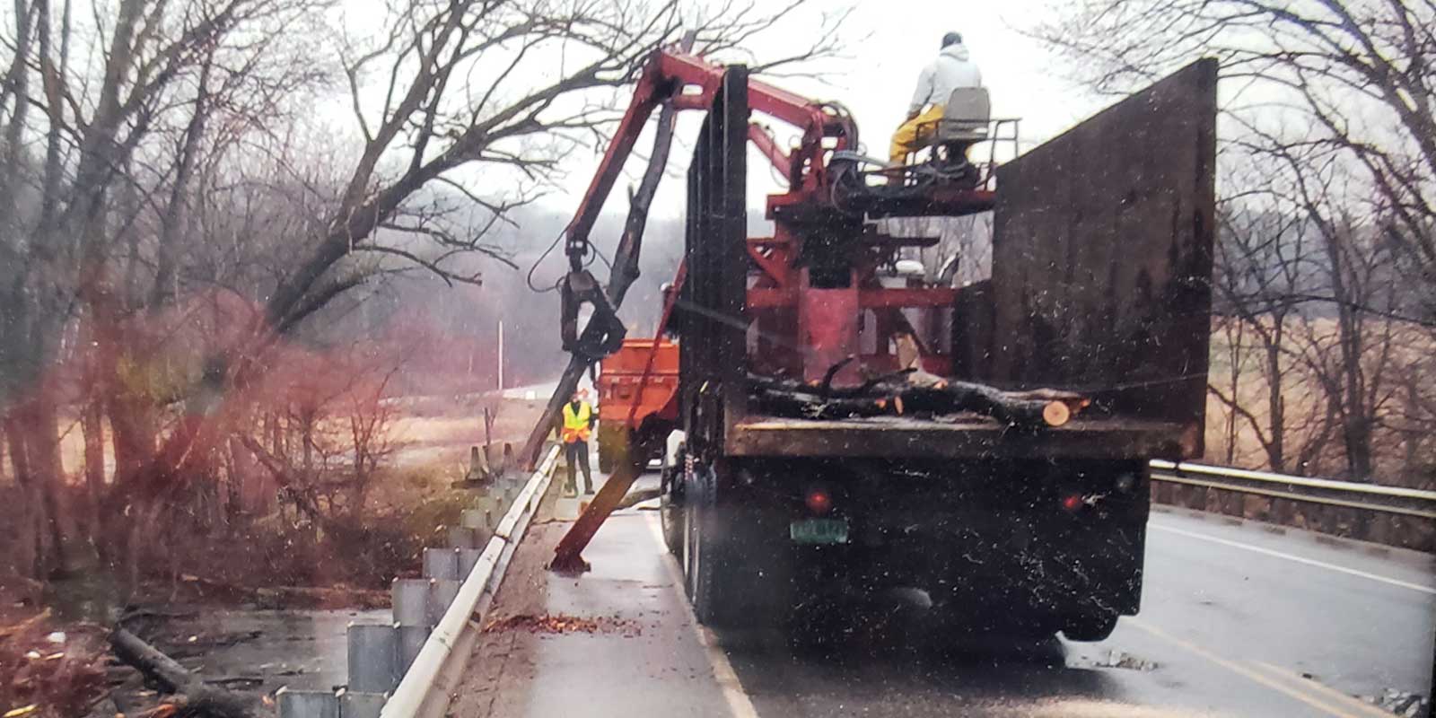 Tree Care Consultant Trees Incorporated Arborists in Vermont