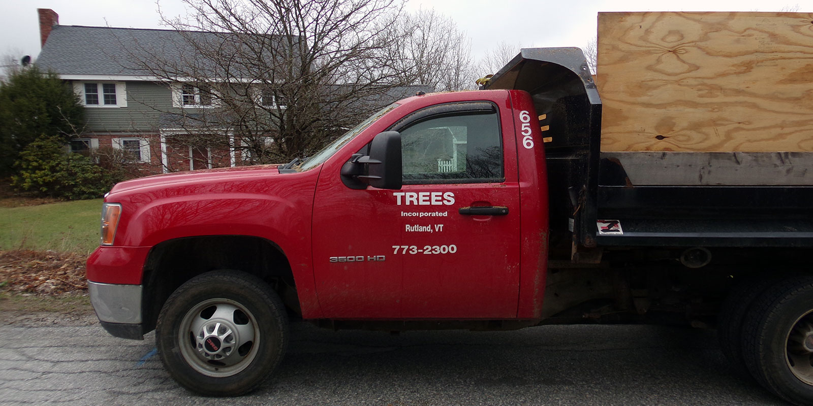 Arborist United States Trees incorporated arborists in Vermont
