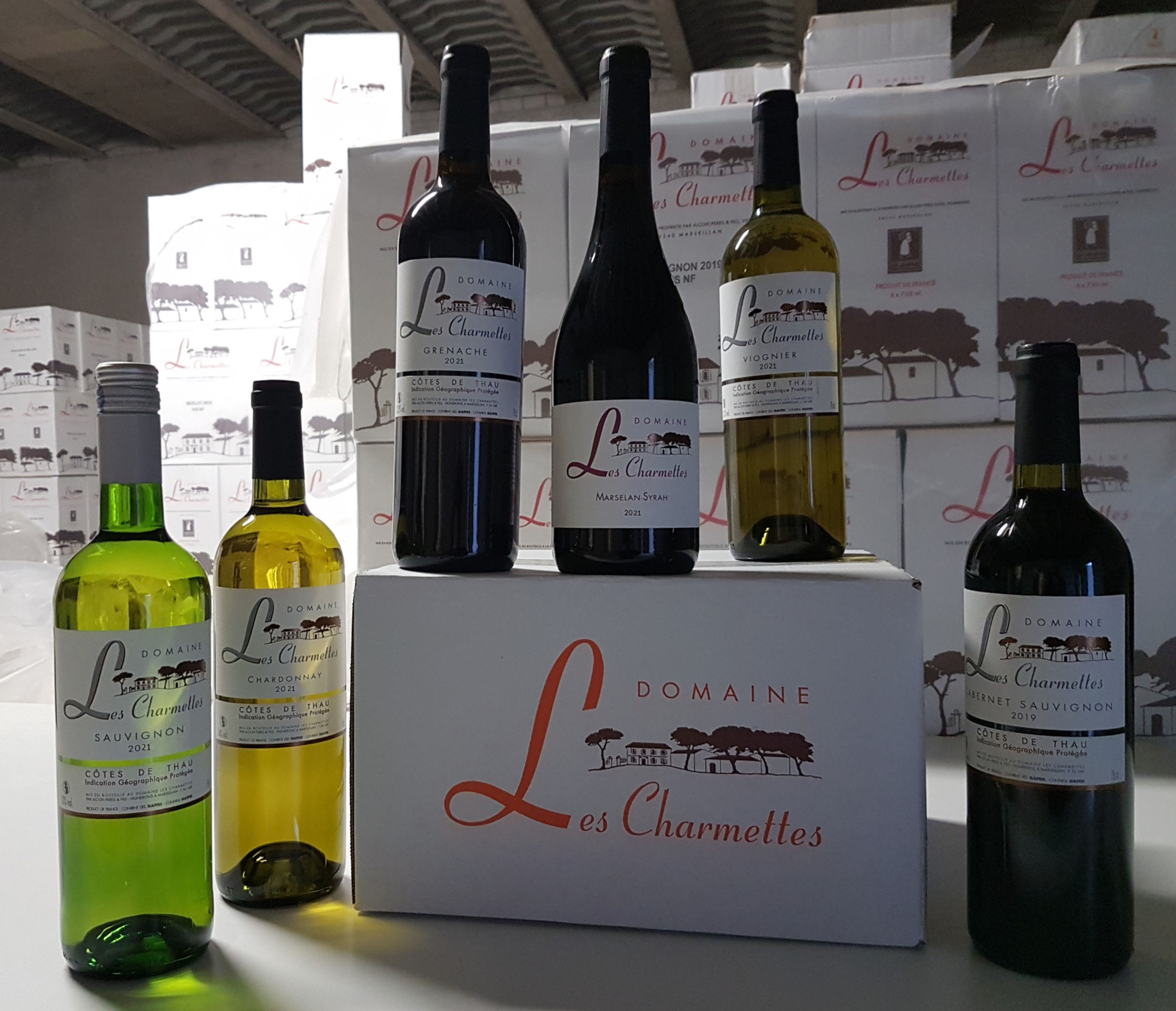 Carton "découverte" 2023