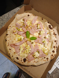 Capitano été 2025 - Pistacchio