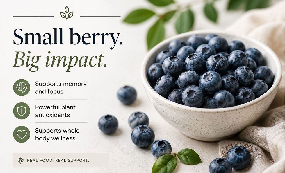 Fresh blueberries showcasing key benefits: memory support, plant antioxidants, and whole body wellness.