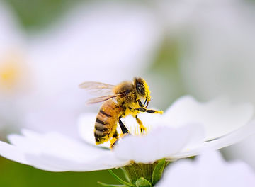 Web health & wellness (84)_edited.jpg