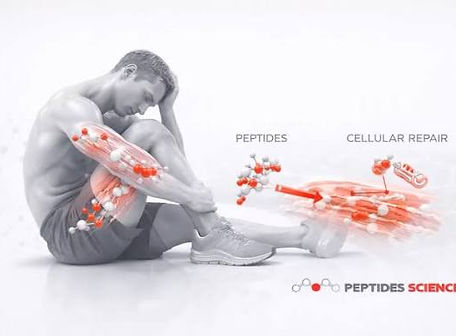 peptide repair.jpeg