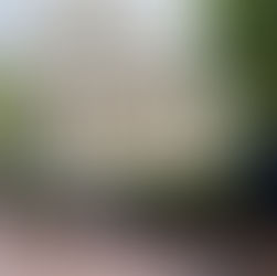 Education in Crisis: How to Manage Back-to-School Challenges During Political Unrest