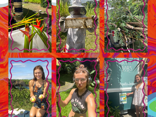 Earth's Ode: Post-Pandemic - How Work-Trade Saved my Life and Helped me to Learn to Love the Earth and the Outdoors
