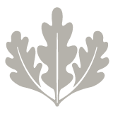 platinum-icon_0.png