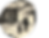 Norrbotten Savio.png