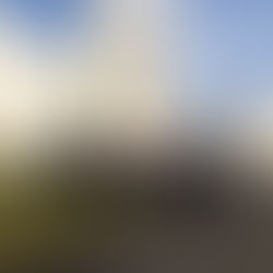 The DUST Project Comes to a Close: Discover the Project’s Outputs and Resources