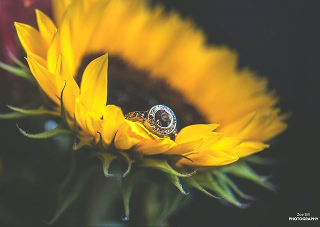 Once in a while, right in the middle of an ordinary life, love gives us a fairytale..