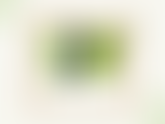 Best Sites for Sustainable Clothing Online: Your Guide to Eco-Conscious Fashion Online