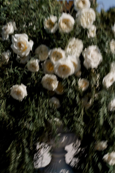 white roses cannes france destination wedding