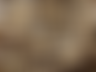 New Zealand-🤫 請不要告訴太多人……這裡真的發現了 超・多・生・蠔 🦪 - 紐西蘭房產大叔 - New Zealand 🤫 A Hidden Beach with So Many Oysters 🦪 | NZ Property Uncle